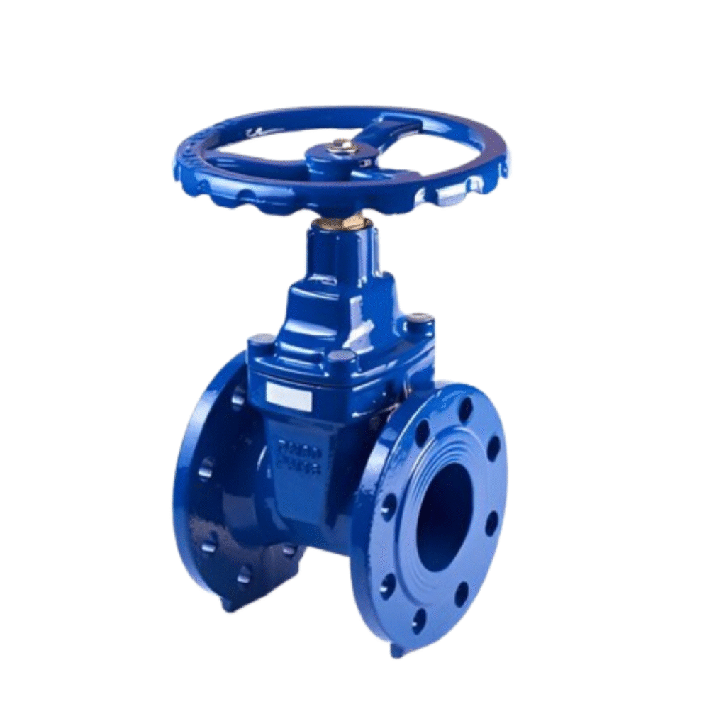 GATE VALVE